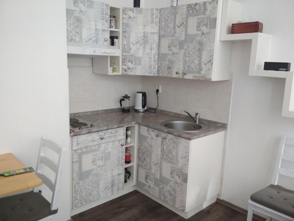 Apartmán Pernink - ubytování v srdci Krušných hor Exterior foto