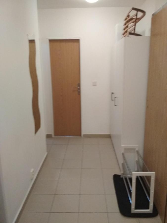 Apartmán Pernink - ubytování v srdci Krušných hor Exterior foto